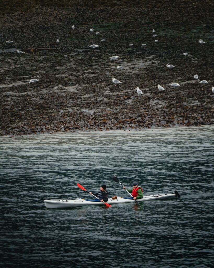 Two paddlers in a white tandem kayak, one in the bow and one in the stern, on gray water