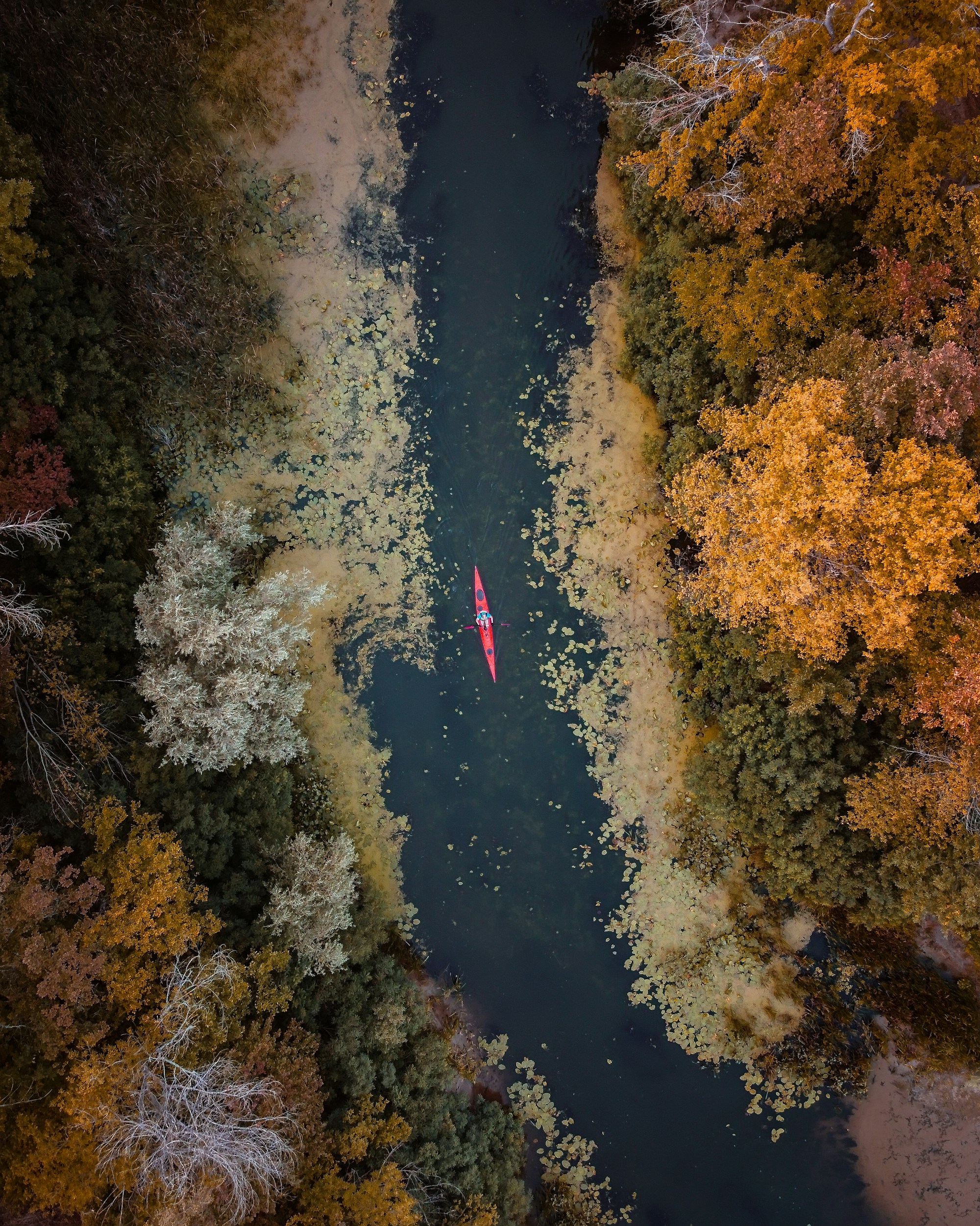 Aerial view of a red kayak in a narrow creek lined with fall trees and weeds